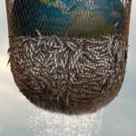 Морской Заговор: Тайна Устойчивого Рыболовства Постер Фильмы от Netflix