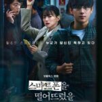 Украденная Личность Постер Фильмы от Netflix